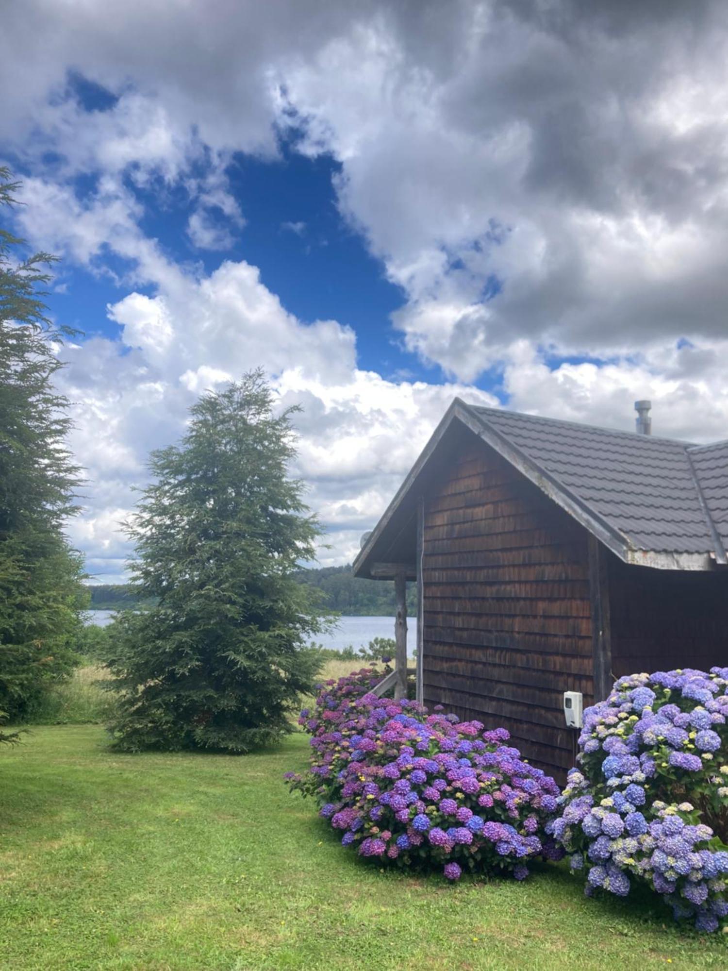 Antuquelen Lodge Cabanas 프루티야르 외부 사진